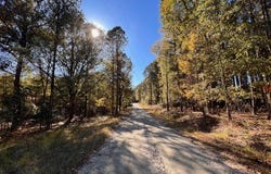 Etchison Spur, Loganville, GA 30052