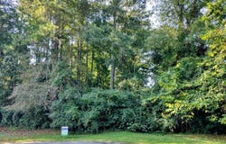 LUCILLE CIRCLE lot: 0, ROANOKE, AL 36274