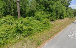 OAK LANE Track, OCALA, FL 34472