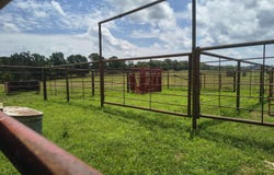 25059 W State Highway Tt, Crane, MO 65633
