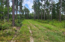 Addidas Street, Eutawville, SC 29048