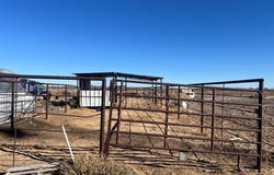 Pecos, TX 79772