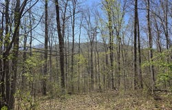 S FT VALLEY RD lot: 1, MADISON, VA 22727