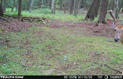 1714 THUNDER Road, Gillett, PA 16925
