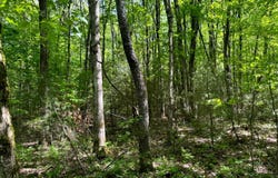 1.3 Littlefield Rd., Camden, NY 13316