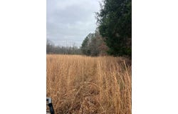 County road 151a, RANDOLPH, MS 38864