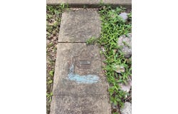 16428 Mo-19, Winona, MO 65466