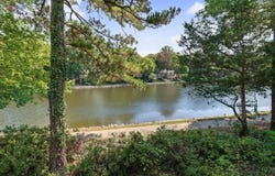 317 Glen Echo Lane, Cary, NC 27518