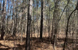 John Owen Road, White Oak, NC 28399