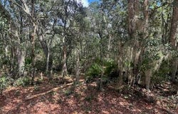 Hurley Street, Interlachen, FL 32148