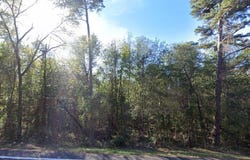 Fm 852, Winnsboro, TX 75494