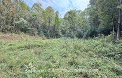 Lauren Run Rd, Crawford, WV 26343