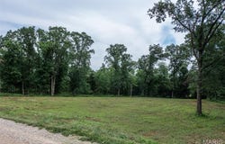 32 Halyon Estates, Perry, MO 63462