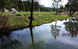 Roney Flat Road, Adin, CA 96006