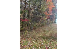 2171 S Walnut Avenue, White Cloud, MI 49349