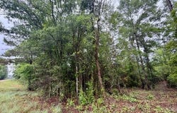 Mississippi 48, Magnolia, MS 39652