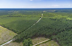 Ten Acre Rd., Andrews, SC 29510