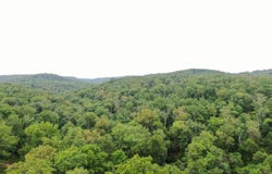 Scenic Heights lot: 6, Bruner, MO 65620