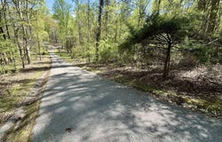 Reservoir Rd, Norris, TN 37828