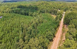 2387 COUNTY ROAD 131 lot: 2387, GOODWATER, AL 35072