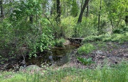 CEDAR BEACH RD., MILFORD, DE 19963