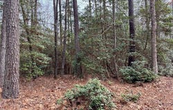 Ridge Rd lot: 270 & 276, Lancaster, VA 22503