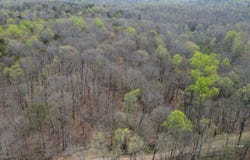 Carpenter Road, Portland, OH 45770