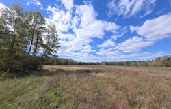 Towerline Road, Hale, MI 48739