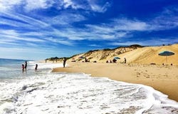3295 State Highway, Eastham, MA 02642