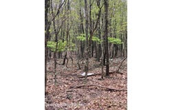 Cranberry Drive, Bushkill, PA 18324