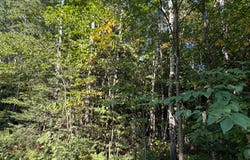 ON SAND ROCK RD, Hurley, WI 54534
