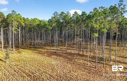 Hemley Road, Coden, AL 36523