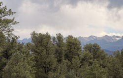41st Trail, Cotopaxi, CO 81223