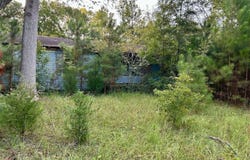 425 S Magnolia Ave, Andrews, SC 29510