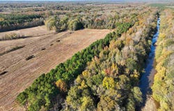 1761 CR-126 Rd, Walnut, MS 38683