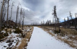 2025 Granite Rd, Bellvue, CO 80512