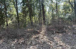 Shady Grove Road, Norphlet, AR 71730