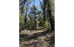 NE CHERVIL Drive, Lee, FL 32059