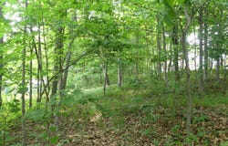 E Lake Avenue, Grand Marais, MI 49839