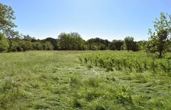 S Highway 99, Seminole, OK 74868