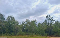 Yorkshire Drive lot: 2, Chipley, FL 32428