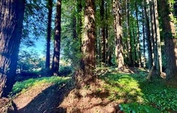 025 Moore Avenue, Eureka, CA 95501