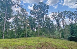 3.3ac Trillium Trail, Dahlonega, GA 30533
