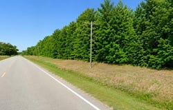 3535 Congruity Road, Sumter, SC 29153