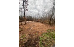 1 Forest Trail, BUMPUS MILLS, TN 37028