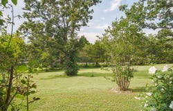 9052 Private Dr 3053, Ava, MO 65608