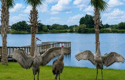 431 Hooked Drive, Avon Park, FL 33825