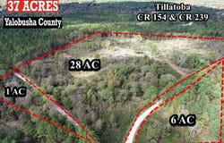 CR 154, TILLATOBA, MS 38961