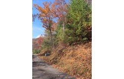 Diamond Falls Estates lot: 134, Franklin, NC 28734