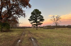 Rosebud, MO 63091